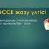 Эссе деген не