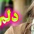Persian Music TakNavaz آهنگ شاد و زیبای دلم رو کردی غارت نوازنده تک نواز عروسی