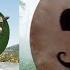 Shrek The Third 2007 FIRST TIME WATCHING MOVIE REACTION 231
