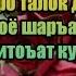Модарам ба ман гуфт ки ҳамсаратро талоқ кун дар ин қазия шаръан бояд аз модарам итоъат кунам ё на