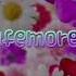 GIFT Sparta Lafemore PSE Base