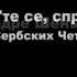 МДП Альбом Европейские Добровольцы 2009