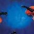 Schumann Piano Quintet In E Flat Major Op 44 IV Allegro Ma Non Troppo