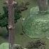 Thomas Friends S Track