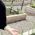 I Want To Show You Before It S Too LATE A Full May 2025 Garden Tour