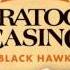 VizExplorer Talks FloorViz With GM Shawn Harris Of Saratoga Blackhawk Casino