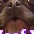 Nightcore I Woof You Ft Google Translate