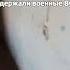 Мародеры ВСУ обокрали дом украинца и наказали соседа за видео про кражу
