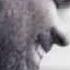 Andrea Bocelli Feat Stevie Wonder Canzoni Stonate