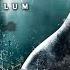 Batman Arkham Asylum Полное прохождение без комментариев