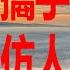 6月22日 鴻海近幾周集保及主力籌碼分析