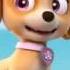 Paw Patrol Skye Tribute