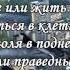 Птица в клетке песня с лирикой Светлана Шимко