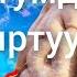ЭС ТУТУМДУ ЖАКШЫРТУУЧУ ДУБ