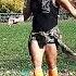 Papi Shampu Nelson Sáenz Papichamp Eloy Zumba Zumbafitness Zumbavirtual Nelsonsaenz