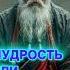 Мудрая притча притча мудрость мудрыемысли истории осознанность духовность дао даосизм мир