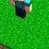 SURVIVING WITH ASWDFZXC IN MINECRAFT