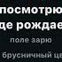 ЛЮБЭ КОНЬ караоке