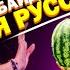 Диана Анкудинова рассказала про свои корни