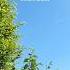 Excited For Summer Days Spring Springvibes Summer Summeriscoming Naturelovers Nature