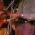 B B King Albert Collins Call It Stormy Monday Live
