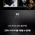 Lyric Video 들국화 Deulgukhwa 행진