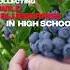 He Turned A Wild Blueberry Side Hustle Into A Business Empire John Bragg