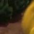 Katie AHHHHHHHHH Horton Hears A Who