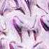 PLS TY Party In My Head Ft Lost Boy Oliver Nelson Remix Official Audio