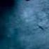 Night S Watch Oath Game Of Thrones