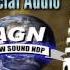 CRISTI NUCA CANTA CIOCARLIA IN CRANG TRACK OFFICIAL AUDIO