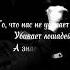 УННВ потому что люди хуже нелюдей