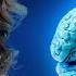 Is Methylene Blue Worth The RISK