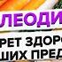 Что такое палео диета Зачем мы возвращаемся к рациону предков Нутрициолог Ксения Чёрная