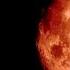 Ara Malikian Symphonic Life On Mars David Bowie Cover