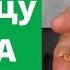 Пророщенная пшеница Ростки Проростки Микрозелень Иммунитет Витграсс Рецепт Microgreens Vitgrass