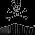 Accordion Pirates Of The Caribbean He S A Pirate