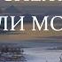 В стране снежных бурь Фарли Моуэт
