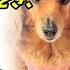 泣ける話 感動 病院を引き払うとき ベッドの下から一冊のノートを見つけました 父の日記でした あるページには こう書かれていました