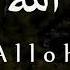 Allohning 99 Ta Gozal Ismlari