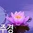 불경모음 2 반야심경 천수경 천지팔양신주경 금강경 영인스님