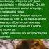 История про пса экскурсовода в незнакомом городе Зацените историю Часть 168
