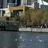 This Is The Best Way To See Melbourne In Autumn