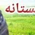 Toryalai Showqi Mastana Japani توریالی شوقي کندهاری مستانه جاپانی