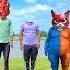 Yellow And Purple Colours Dog Vs Cute Brothers Me Correct Head Matching With Tu Radha Meri Song