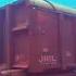 Diver Finds Train Wagon On Ocean Floor Then Takes A Look Inside