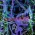 All Them Witches See You Next Fall Audio Only