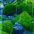 Rain Sounds Stream For Sleep Focus Studying 4K Nature Video White Noise 10 Hours