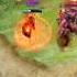 Dota 2 Doom Counter Pick Terrorblade