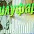 Нилуфур DISS DA RALIK 2020